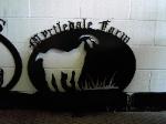 goat sign for farm entrance.