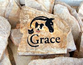 Sand carving pet memorials.